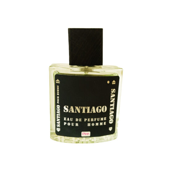 ادو پرفیوم مردانه پینک مدل سانتیگو با رایحه خنک  حجم ۱۰۰ میلی لیتر